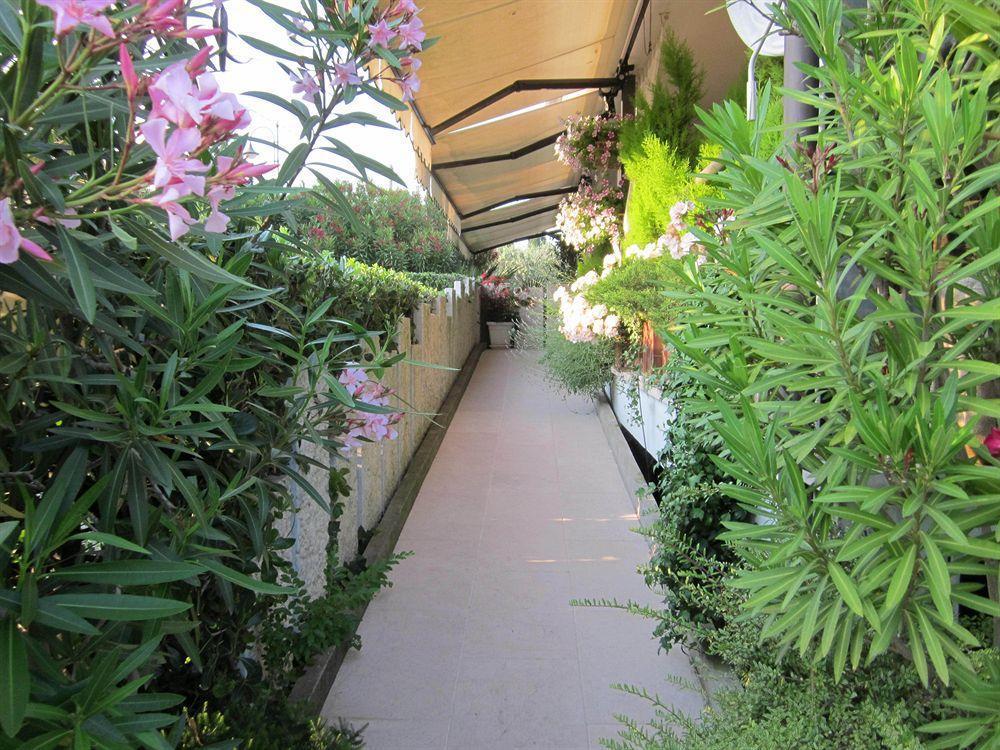 Hotel Marina ตอร์รีเดลเบนาโก ภายนอก รูปภาพ